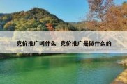 竞价推广叫什么  竞价推广是做什么的