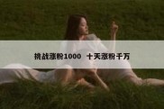 挑战涨粉1000  十天涨粉千万