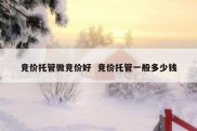 竞价托管微竞价好  竞价托管一般多少钱