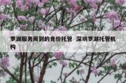 罗湖服务周到的竞价托管  深圳罗湖托管机构
