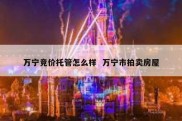 万宁竞价托管怎么样  万宁市拍卖房屋