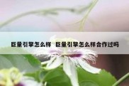 巨量引擎怎么样  巨量引擎怎么样合作过吗