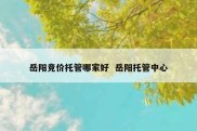 岳阳竞价托管哪家好  岳阳托管中心