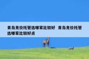 青岛竞价托管选哪家比较好  青岛竞价托管选哪家比较好点