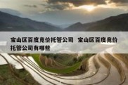 宝山区百度竞价托管公司  宝山区百度竞价托管公司有哪些