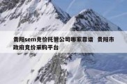 贵阳sem竞价托管公司哪家靠谱  贵阳市政府竞价采购平台