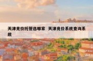 天津竞价托管选哪家  天津竞价系统查询系统