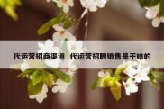 代运营招商渠道  代运营招聘销售是干啥的
