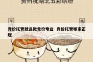 竞价托管就选微竞价专业  竞价托管哪家正规