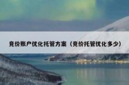 竞价账户优化托管方案（竞价托管优化多少）