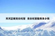 天河正规竞价托管  竞价托管服务多少钱