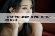 广东账户竞价托管案例  竞价推广账户账户托管多少钱