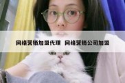 网络营销加盟代理  网络营销公司加盟