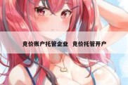 竞价账户托管企业  竞价托管开户