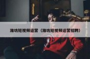 潍坊短视频运营（潍坊短视频运营招聘）