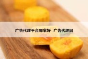 广告代理平台哪家好  广告代理网