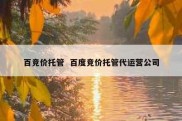 百竞价托管  百度竞价托管代运营公司