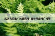 武汉竞价推广托管费用  竞价网络推广托管