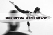 搜索竞价托管公司  竞价托管服务多少钱
