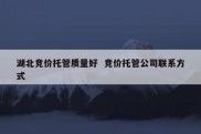 湖北竞价托管质量好  竞价托管公司联系方式