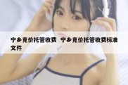 宁乡竞价托管收费  宁乡竞价托管收费标准文件
