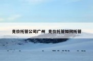 竞价托管公司广州  竞价托管如何托管