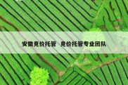 安徽竞价托管  竞价托管专业团队