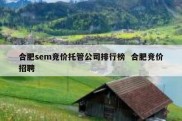 合肥sem竞价托管公司排行榜  合肥竞价招聘
