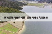 新民关键词竞价托管  关键词排名竞价托管