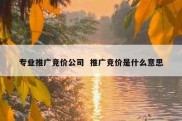 专业推广竞价公司  推广竞价是什么意思