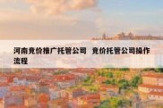 河南竞价推广托管公司  竞价托管公司操作流程