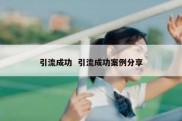 引流成功  引流成功案例分享