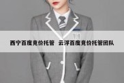 西宁百度竞价托管  云浮百度竞价托管团队