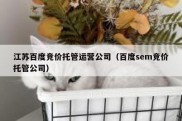 江苏百度竞价托管运营公司（百度sem竞价托管公司）