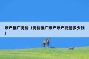 账户推广竞价（竞价推广账户账户托管多少钱）