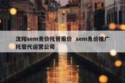 沈阳sem竞价托管报价  sem竞价推广托管代运营公司
