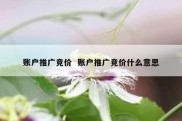 账户推广竞价  账户推广竞价什么意思
