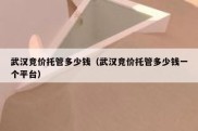 武汉竞价托管多少钱（武汉竞价托管多少钱一个平台）