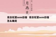 竞价托管sem价格  竞价托管sem价格怎么确定