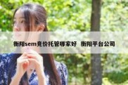 衡阳sem竞价托管哪家好  衡阳平台公司