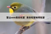 营口sem竞价托管  竞价托管如何托管