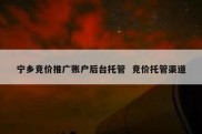 宁乡竞价推广账户后台托管  竞价托管渠道
