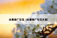 水果推广引流（水果推广引流方案）