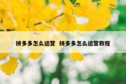 拼多多怎么运营  拼多多怎么运营教程