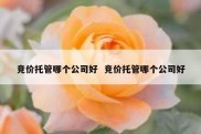 竞价托管哪个公司好  竞价托管哪个公司好
