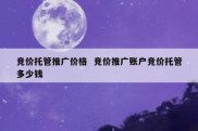 竞价托管推广价格  竞价推广账户竞价托管多少钱