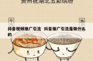 抖音视频推广引流  抖音推广引流是做什么的