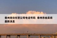 泰州竞价托管公司电话号码  泰州市拍卖房最新消息