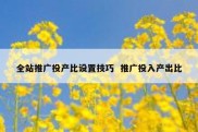 全站推广投产比设置技巧  推广投入产出比
