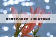 竞价托管力荐微竞价  竞价托管专业团队